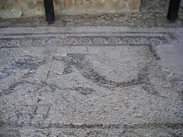 Галечная мозаика пола. Эллинистический период. Это самый большой раскоп галечного пола на Кипре. 
Центральная панель изображает двух дельфинов, удерживающих трезубцы в роту